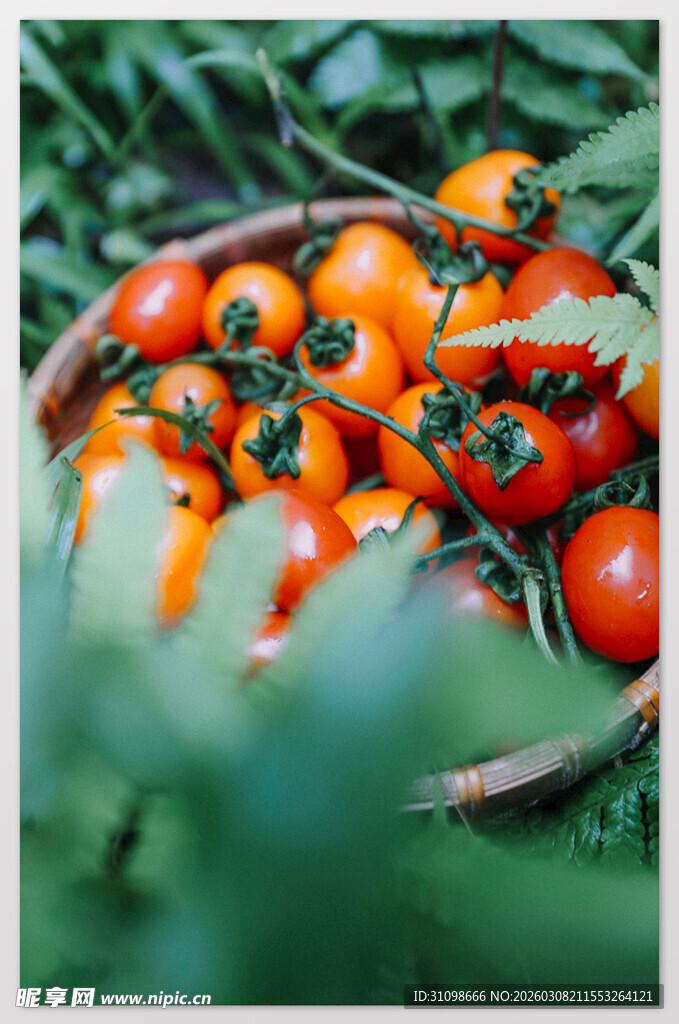 碗中新鲜小番茄