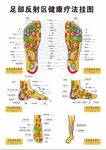 足部反射区健康疗法挂图