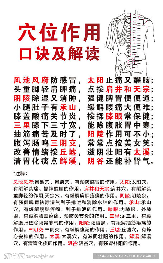 穴位作用与口诀速记