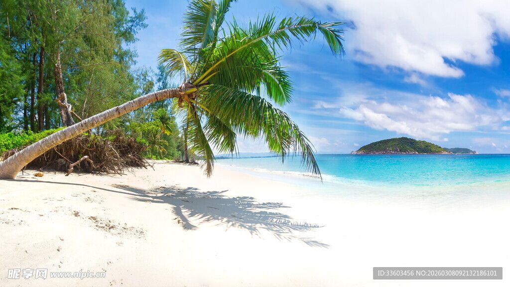 美丽热带沙滩海景风光