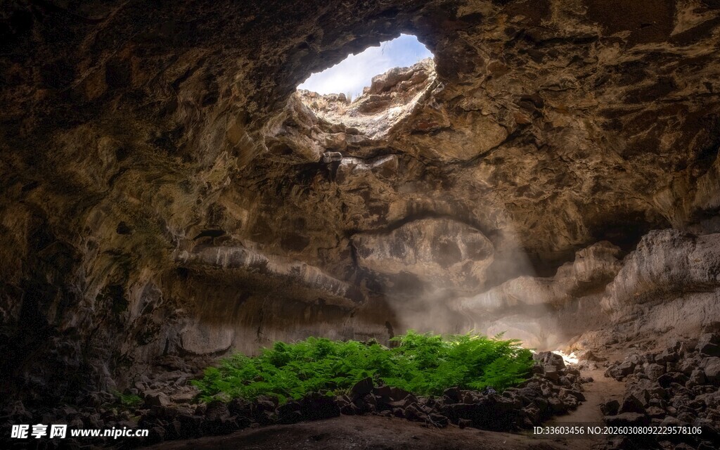洞穴内的一抹绿意