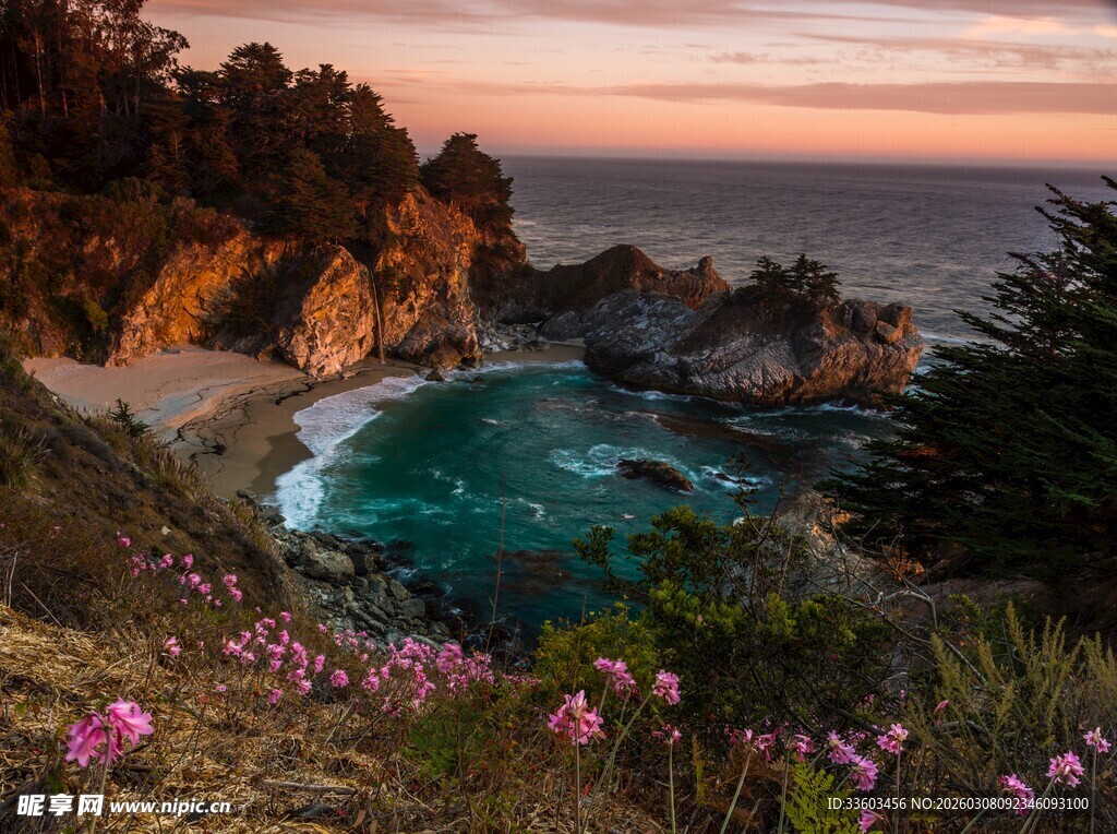 日落海岸边的烂漫花海