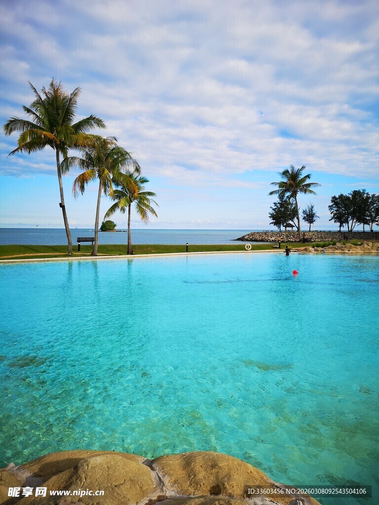 热带风情泳池与碧海蓝天