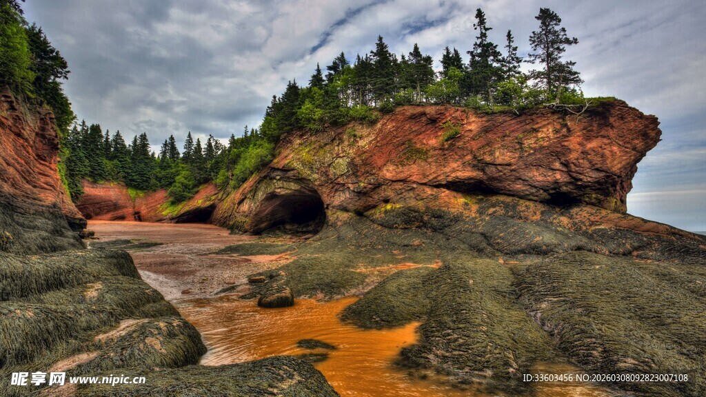 海岸红崖与橙流景观