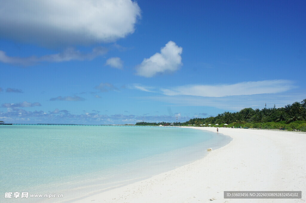 美丽的热带白色沙滩海景