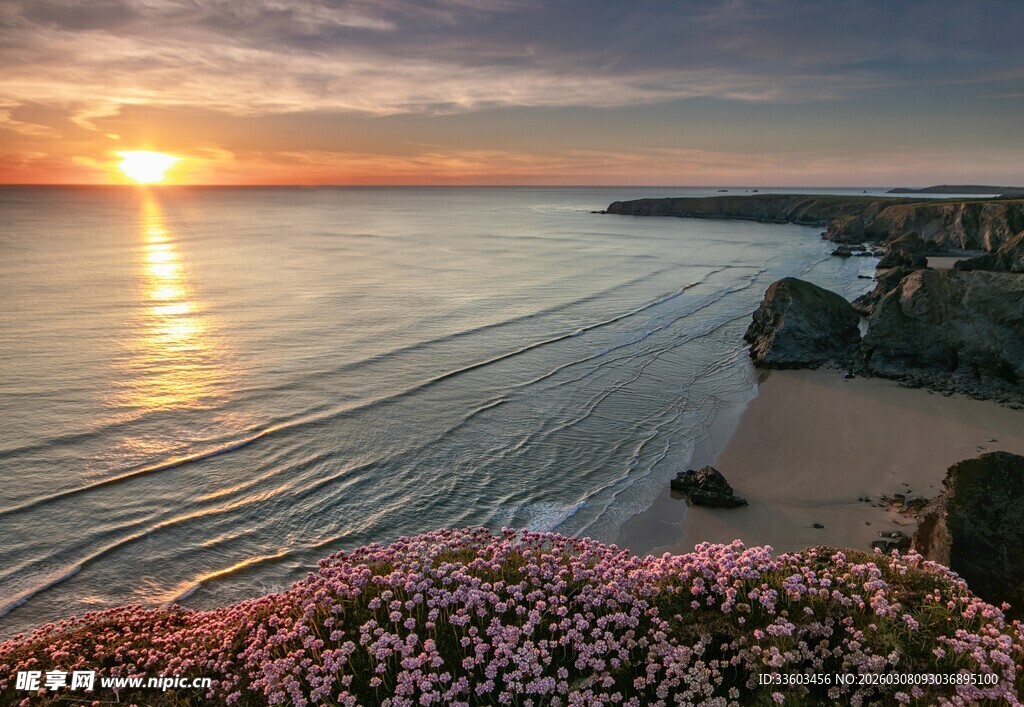 日落海岸边的烂漫花海