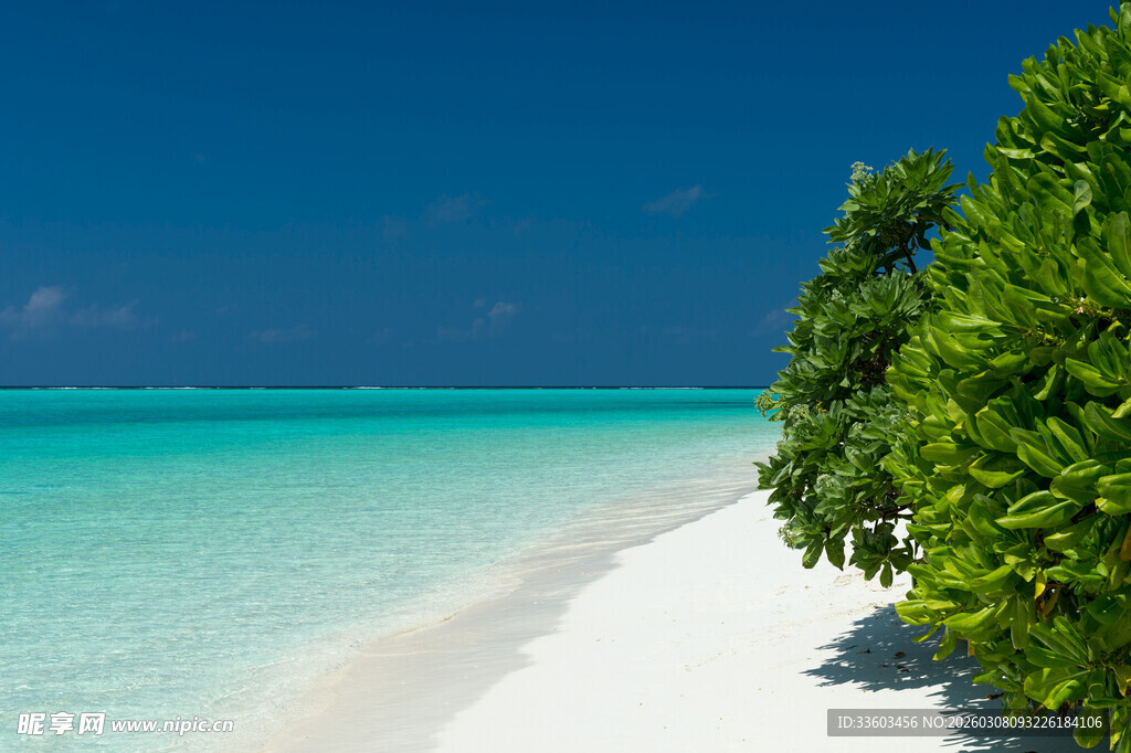 美丽海岛沙滩绿植海景