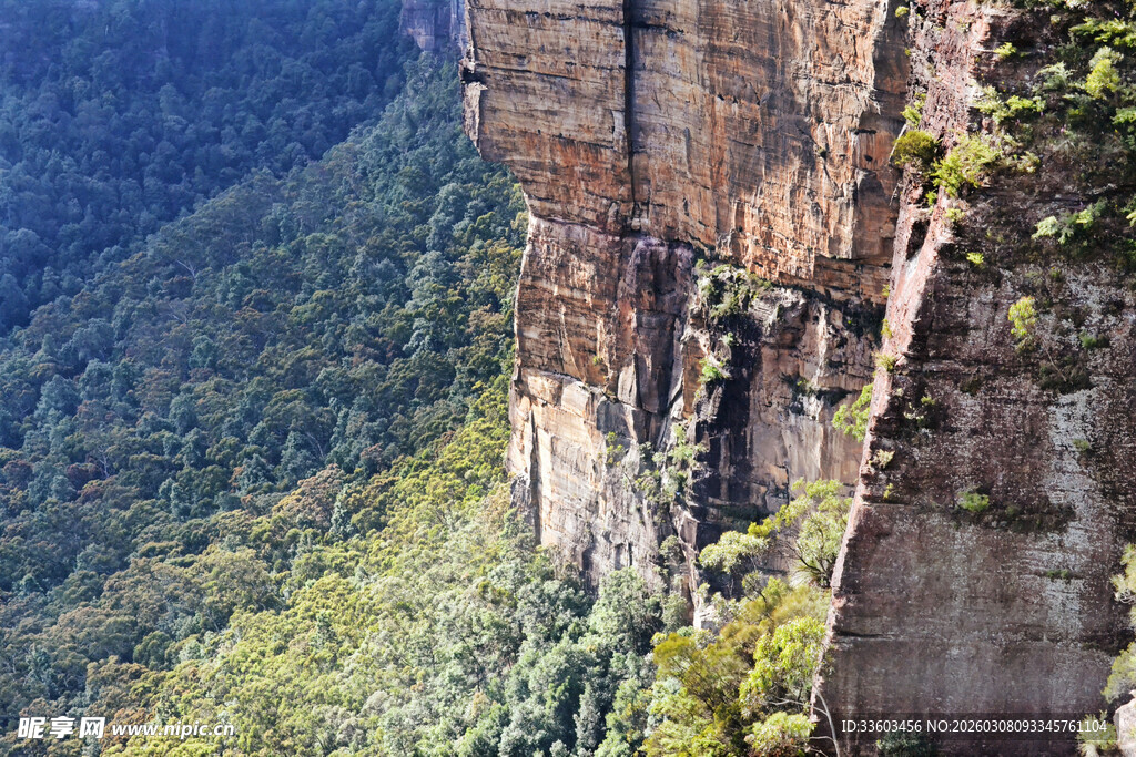 壮丽悬崖下的葱郁山林