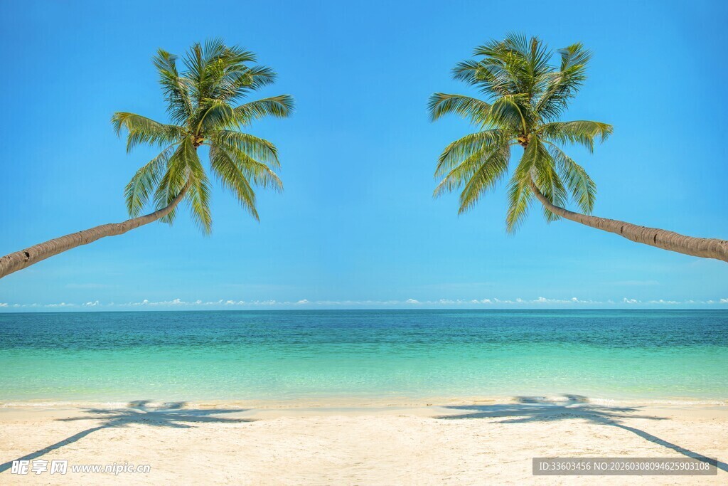 热带海滩双椰树美景