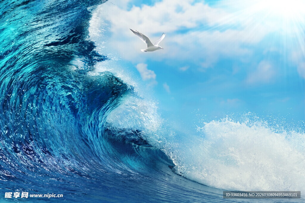 汹涌海浪与翱翔飞鸟
