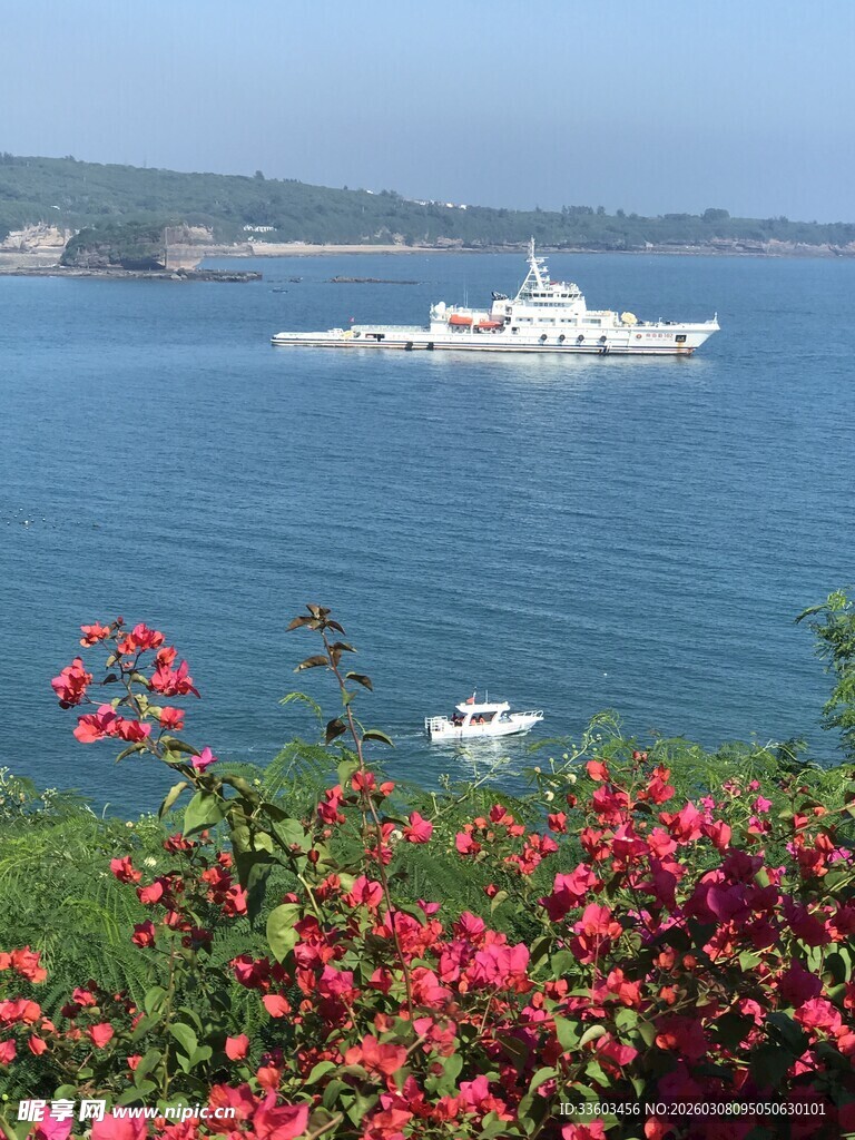 海上游船伴岸边繁花绽放