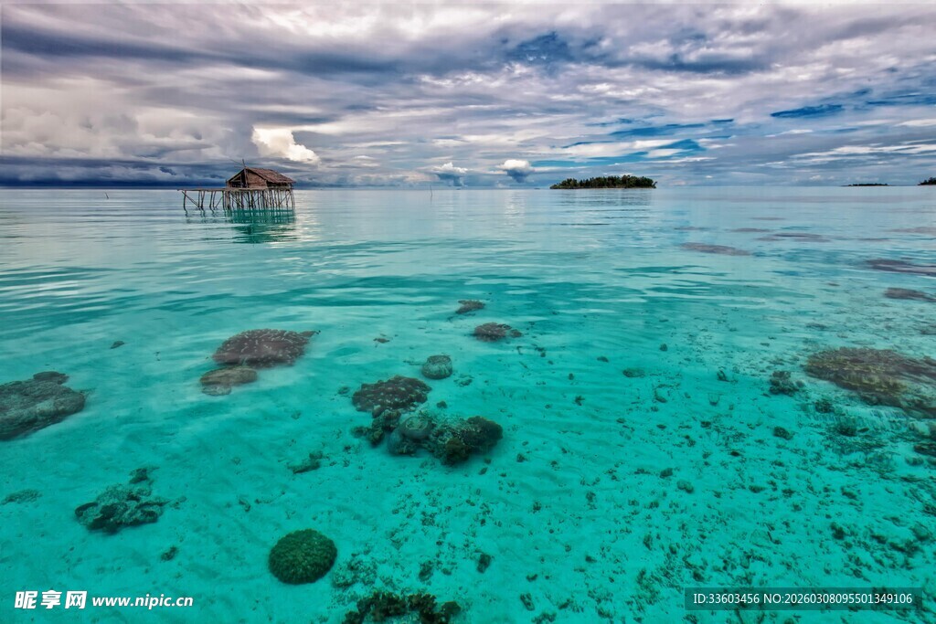 清澈海域中的美丽珊瑚礁