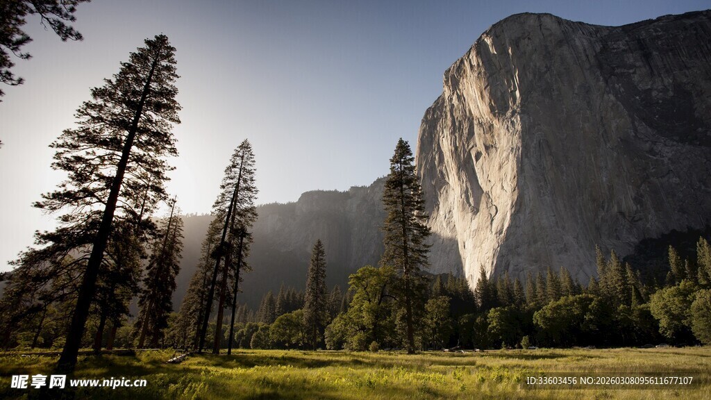 壮丽山景下的开阔草地