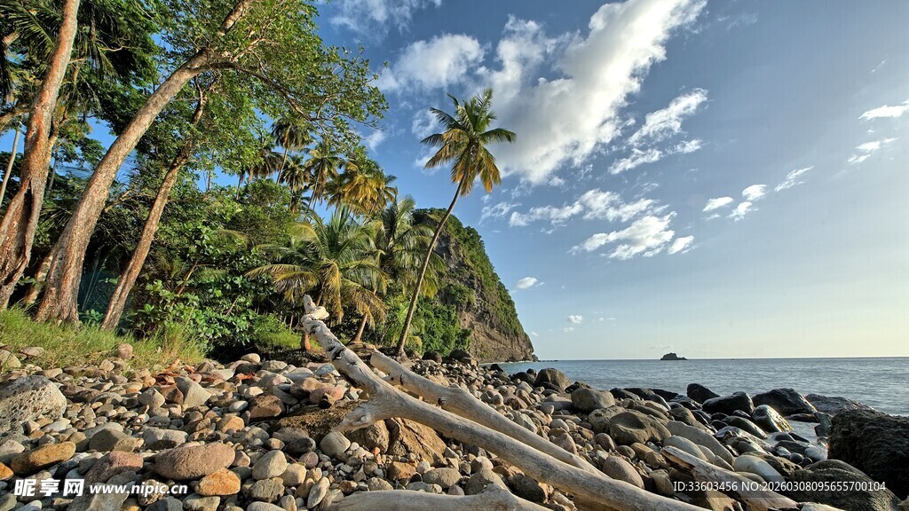 海边公路旁的热带风光
