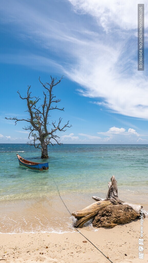 海边枯树与静谧小船
