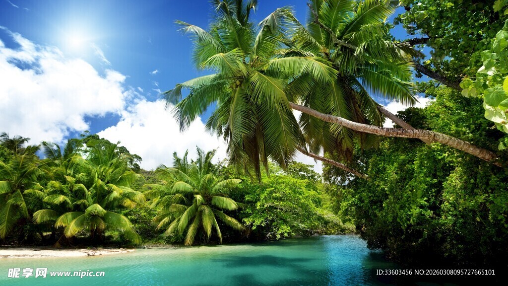 热带海岛美丽清澈的水域