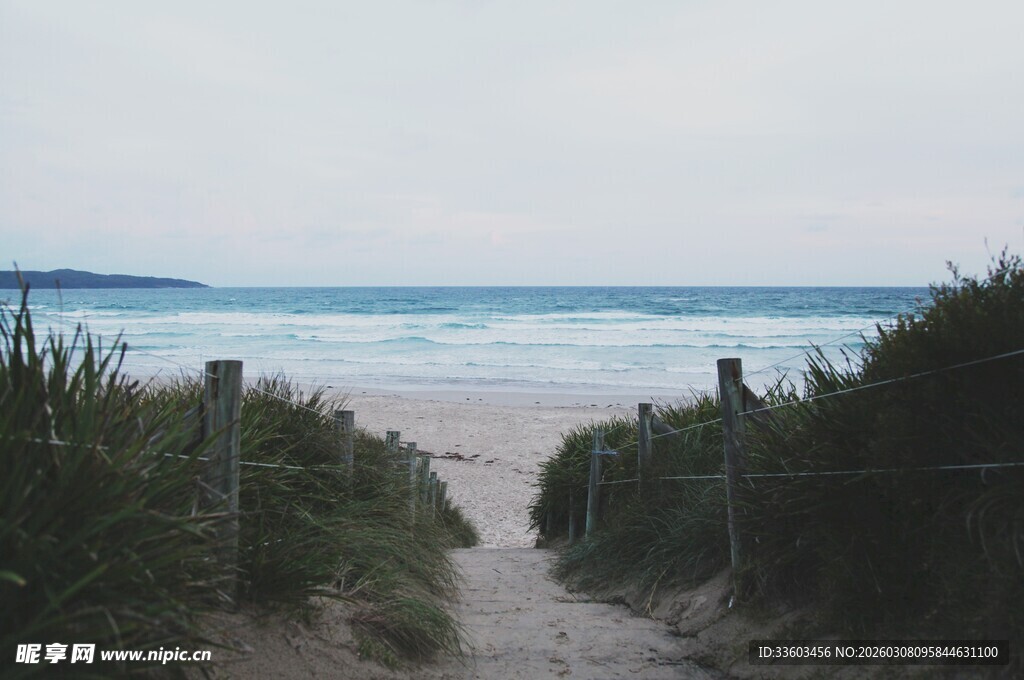 通往海边的小径