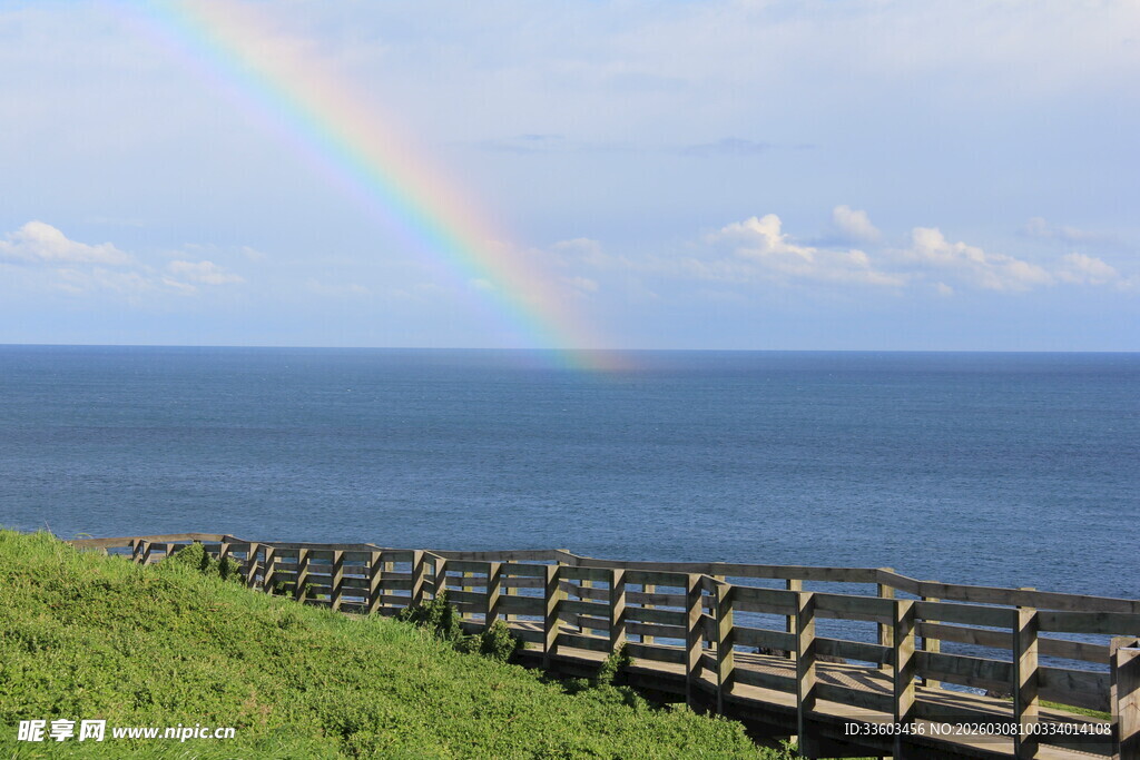 海边草地之上的绚丽彩虹