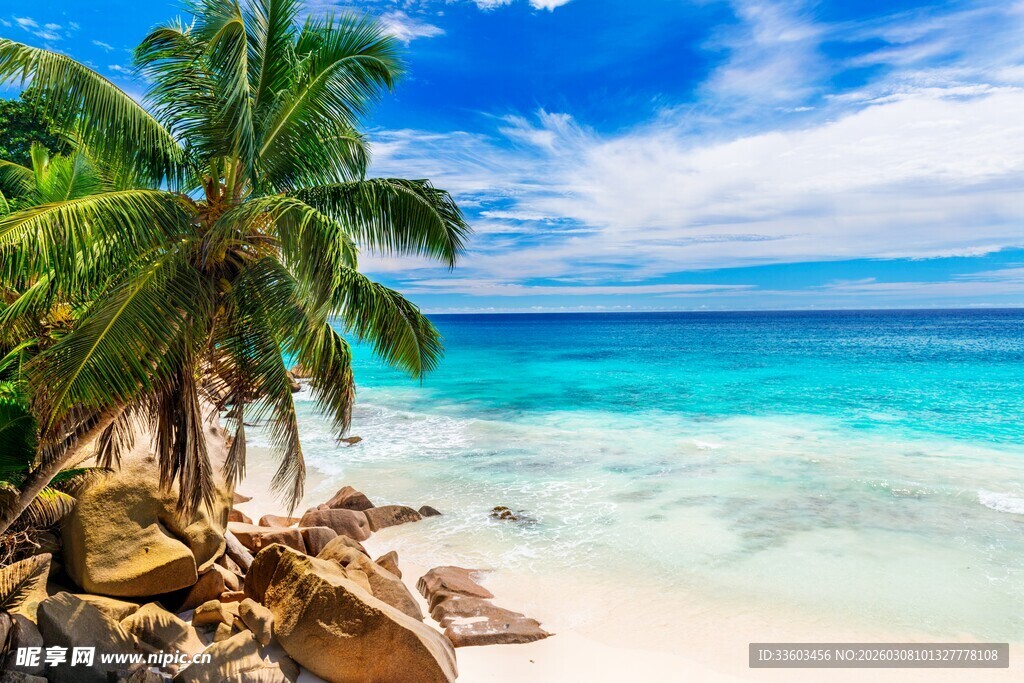 美丽热带海滩风光