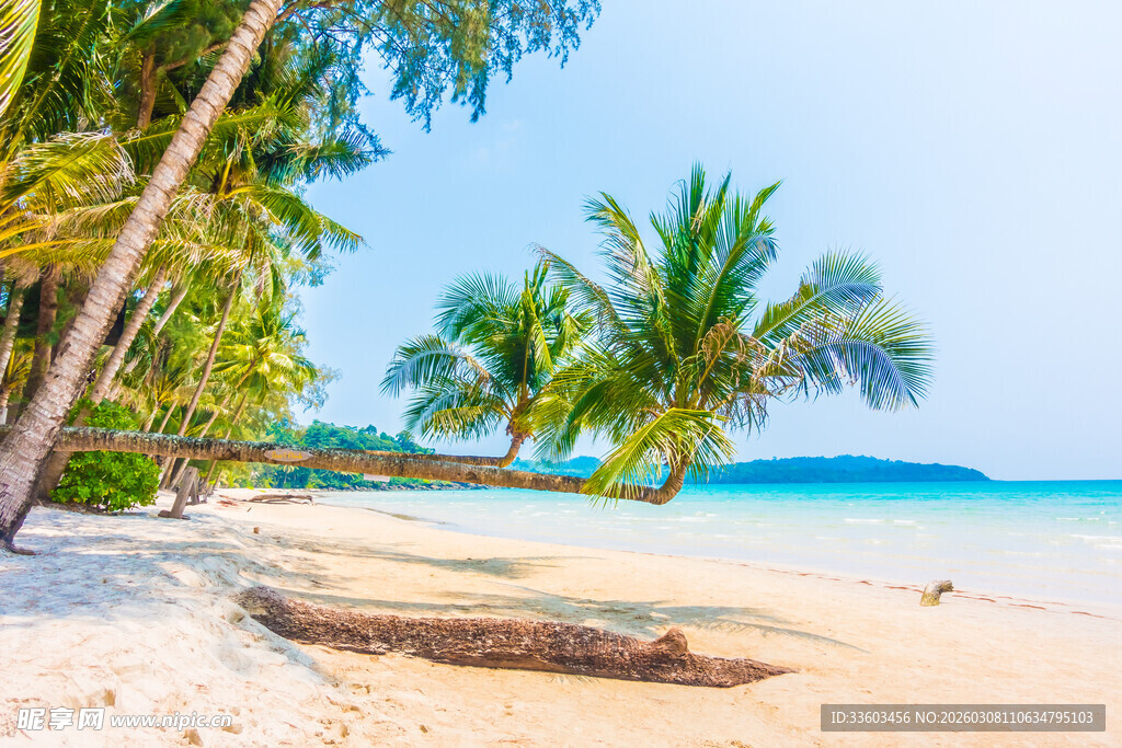 美丽热带海滩风景