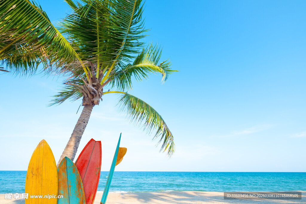 海滩上的彩色冲浪板与椰树