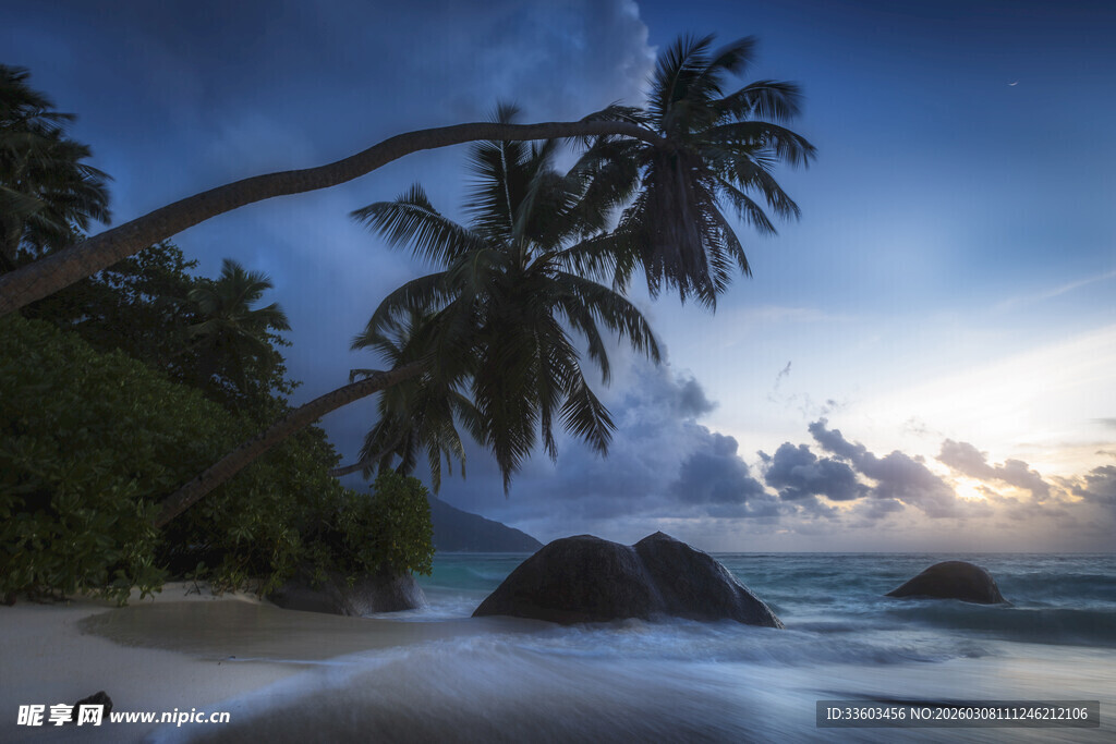 美丽海滩椰树日出景象