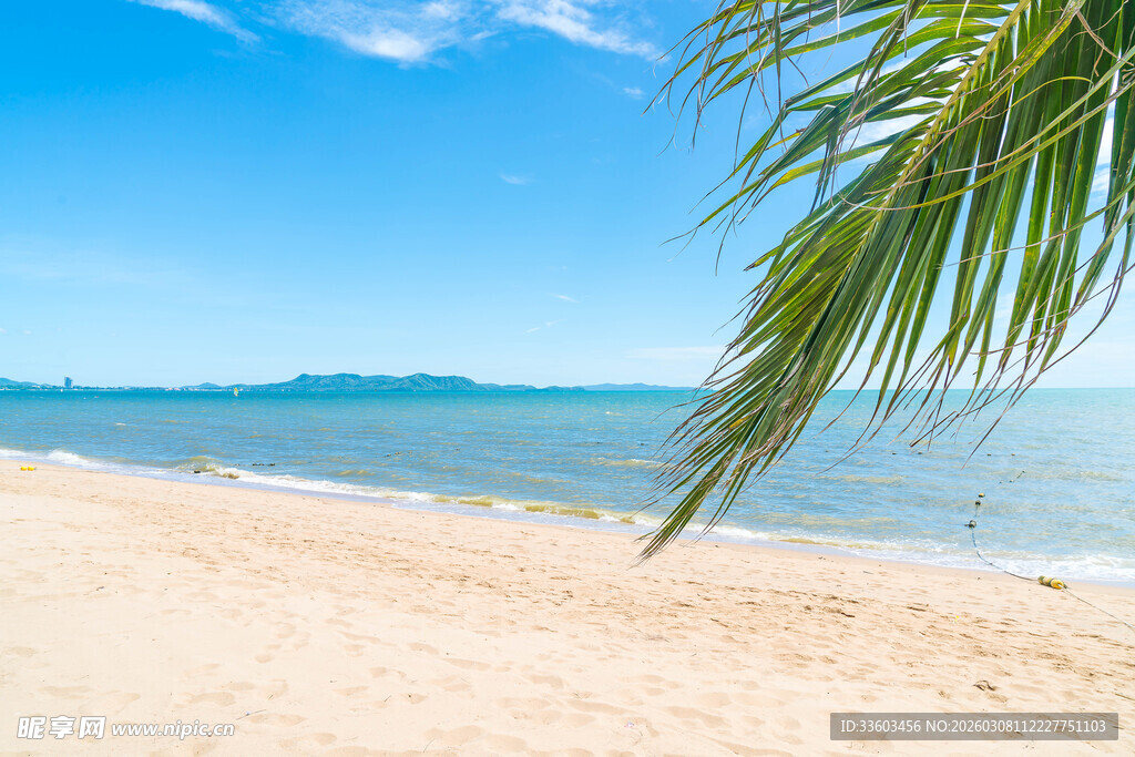 美丽海滩与摇曳棕榈树