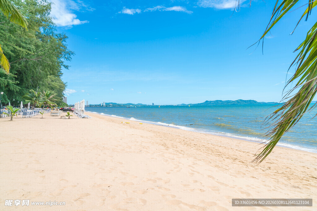 美丽的热带海滩风光