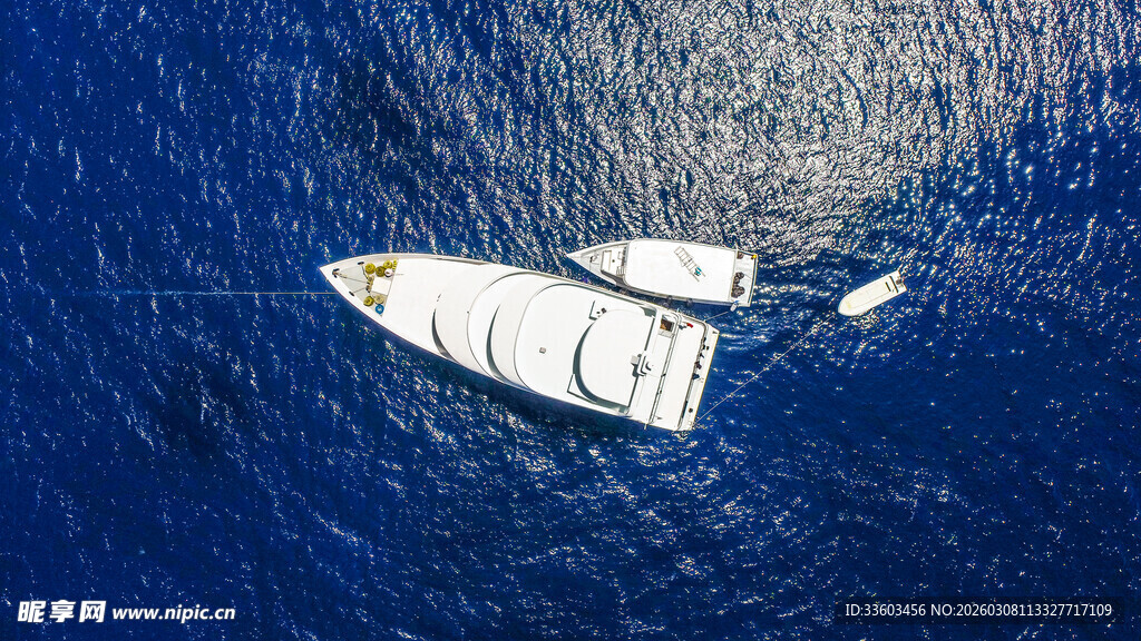 海上航行的白色双体帆船