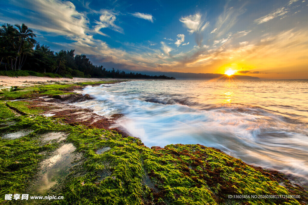 海边日落时的苔藓礁石美景