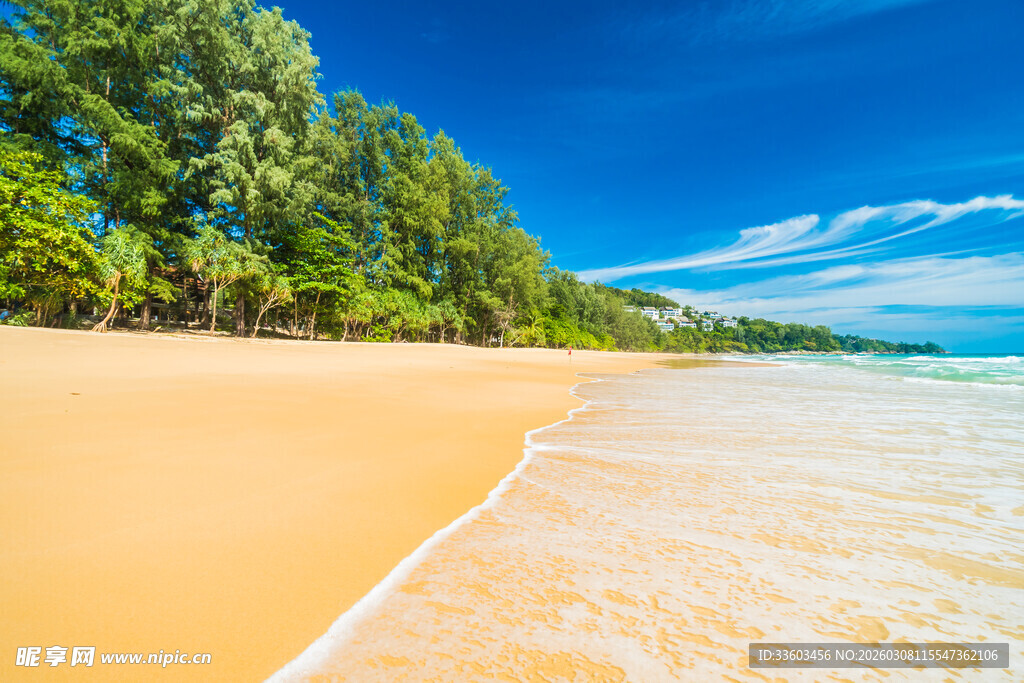 金色沙滩与碧蓝海水美景