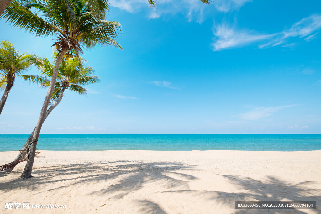 美丽海滩与椰树的风景