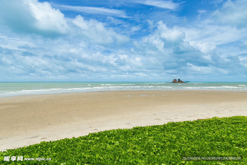 美丽海滩与翠绿植被景观