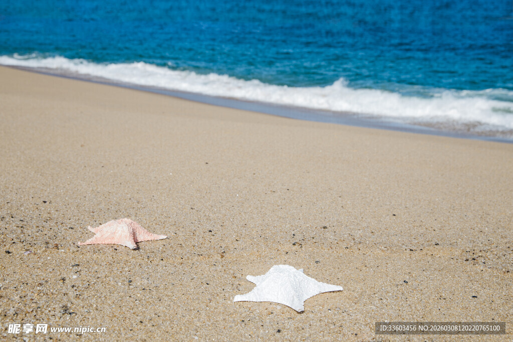 沙滩上的贝壳与蓝色大海