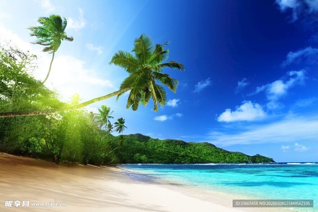 美丽热带海滩风光