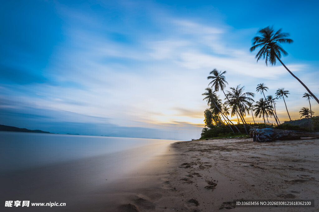 美丽海滩上的椰树日落