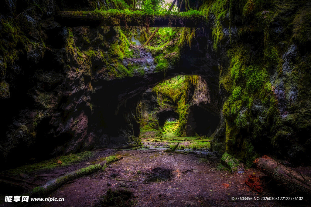 神秘幽森的苔藓覆盖洞穴