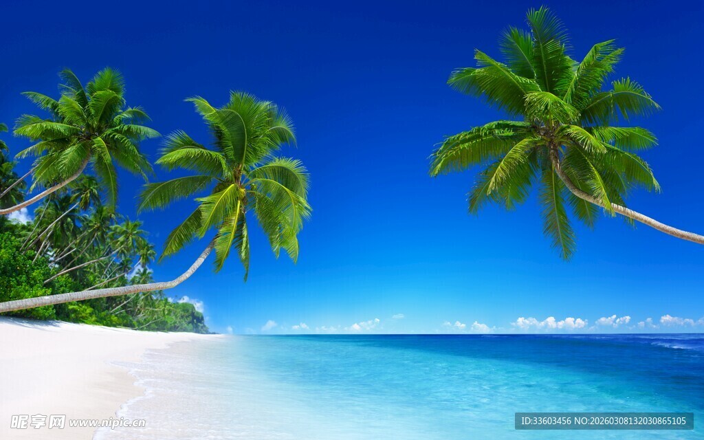 热带海滨美景