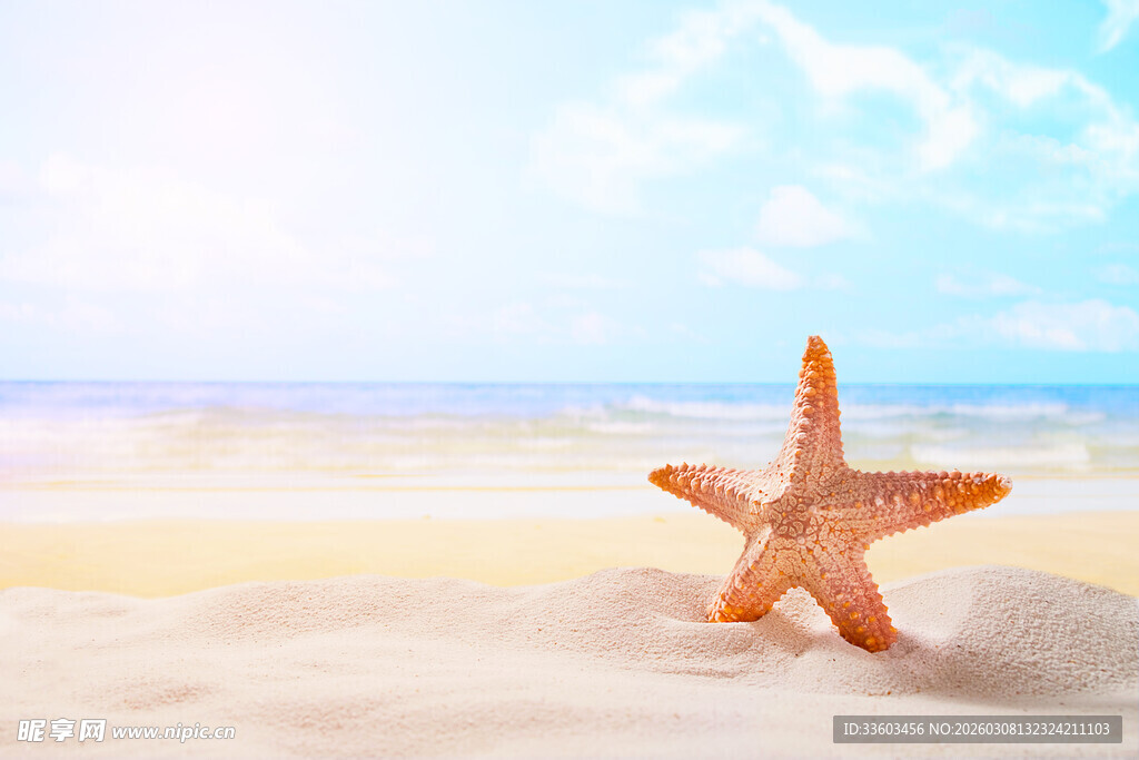 沙滩上的美丽海星