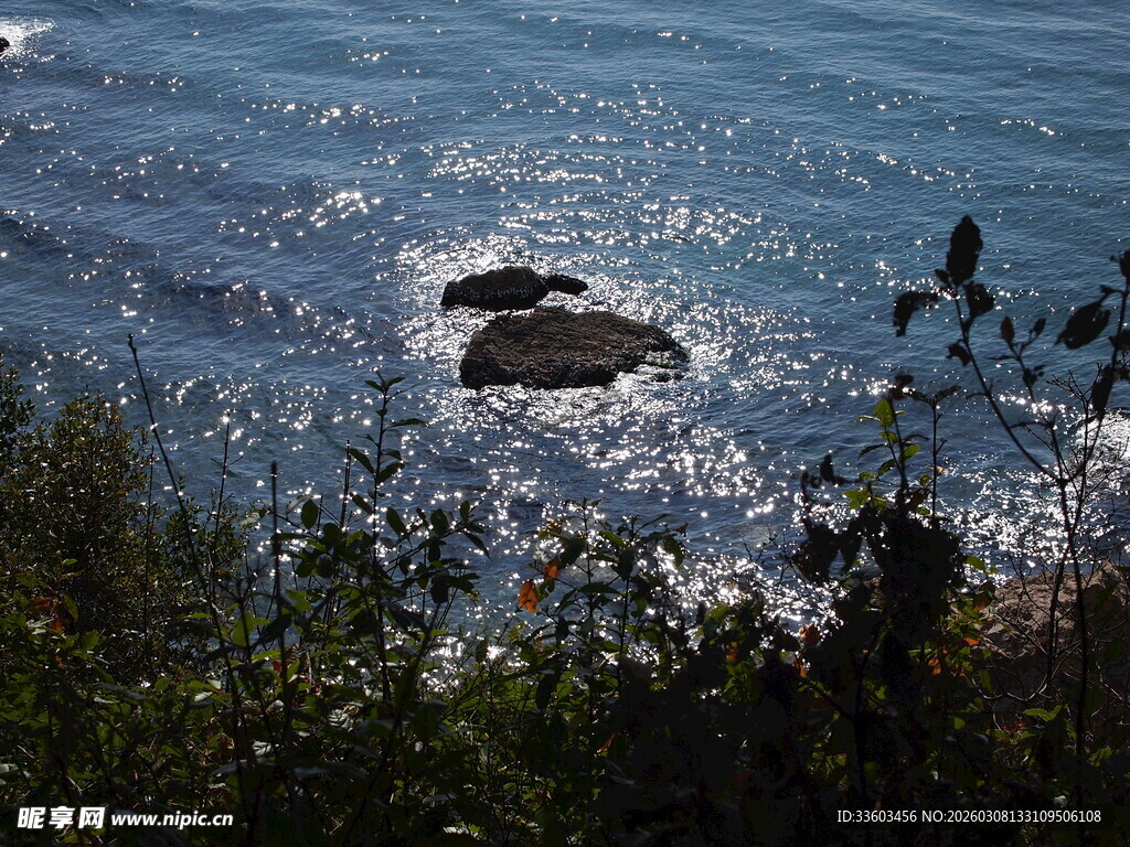 海边礁石与繁茂绿植景观