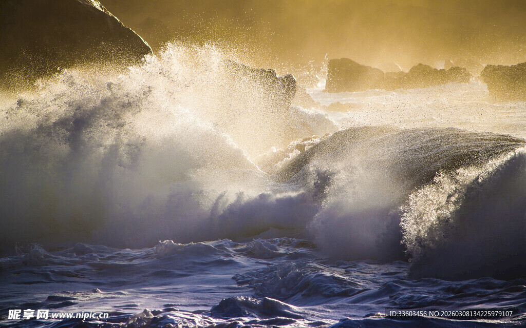 金色海浪汹涌澎湃