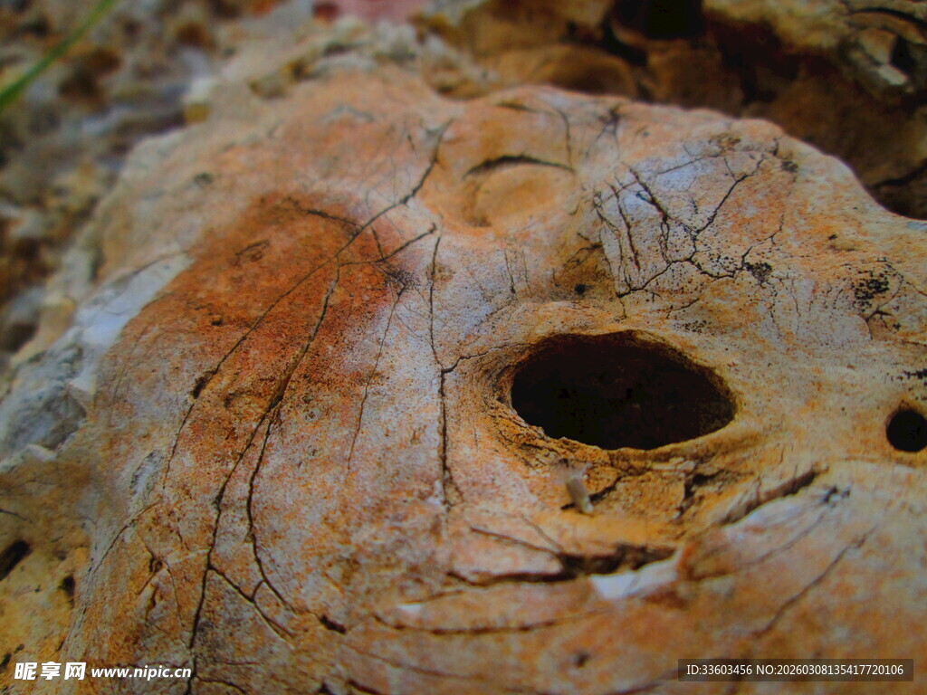 古老岩刻上的神秘孔洞