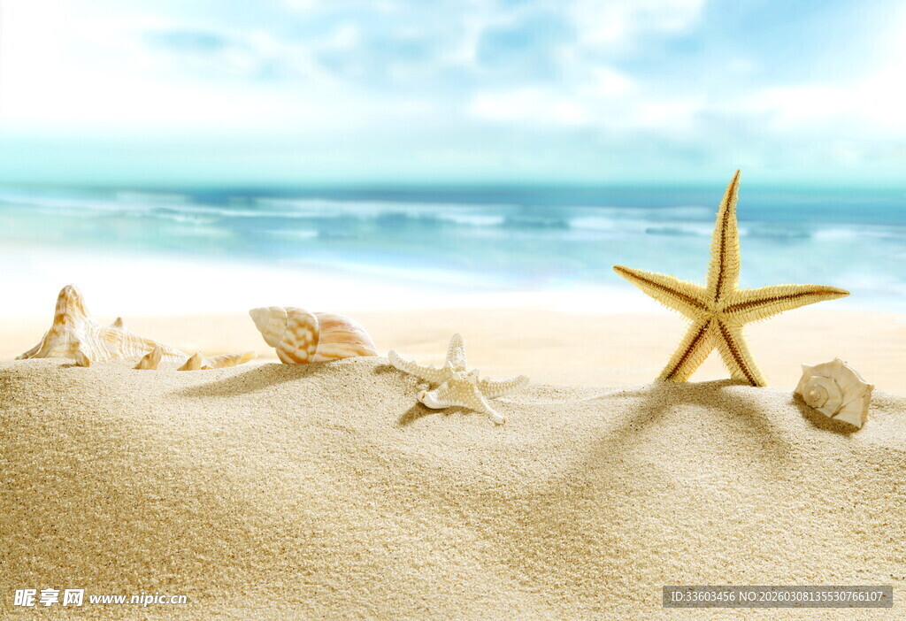 沙滩上的海星与贝壳