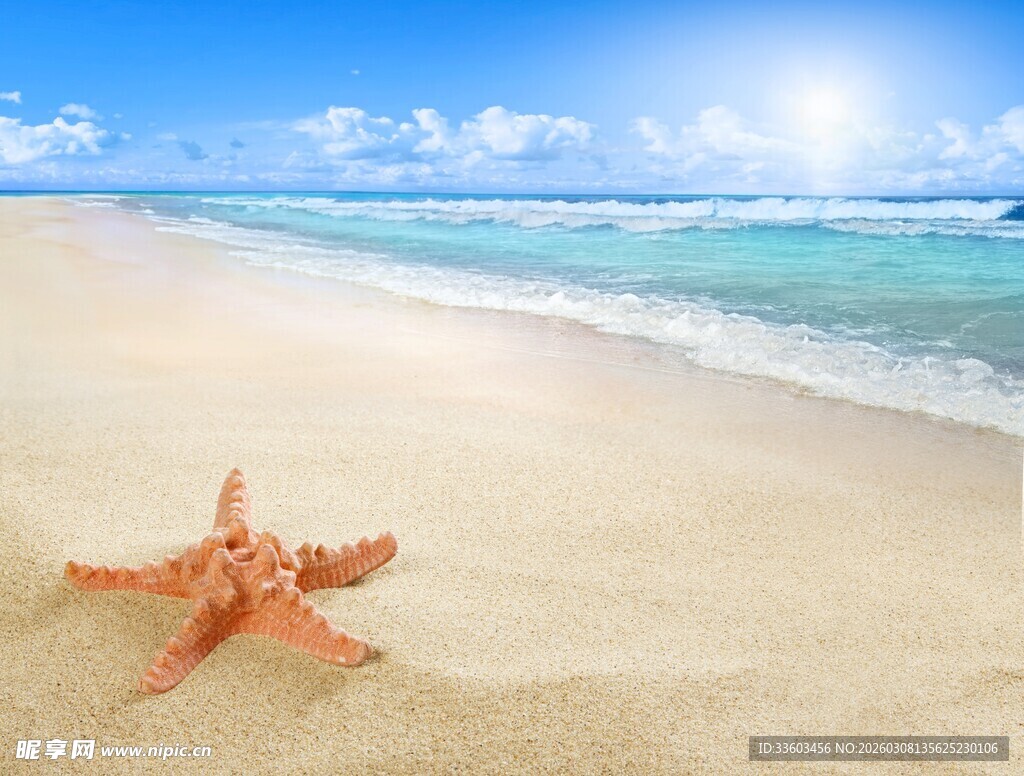 沙滩上的海星与碧海蓝天