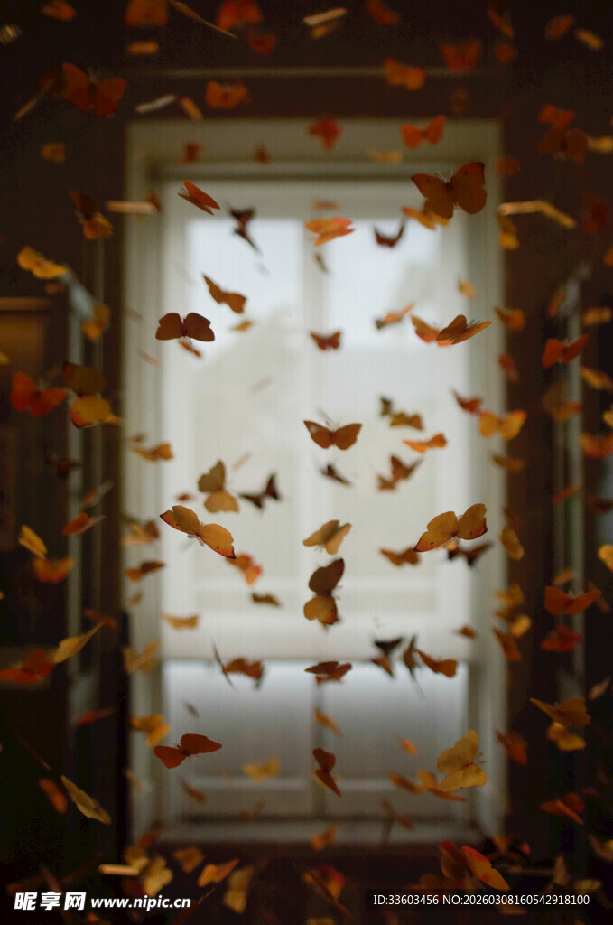 窗前飞舞的斑斓秋叶