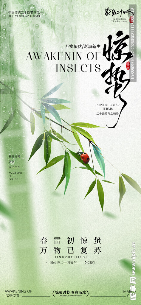 中式风竹叶节气背景图