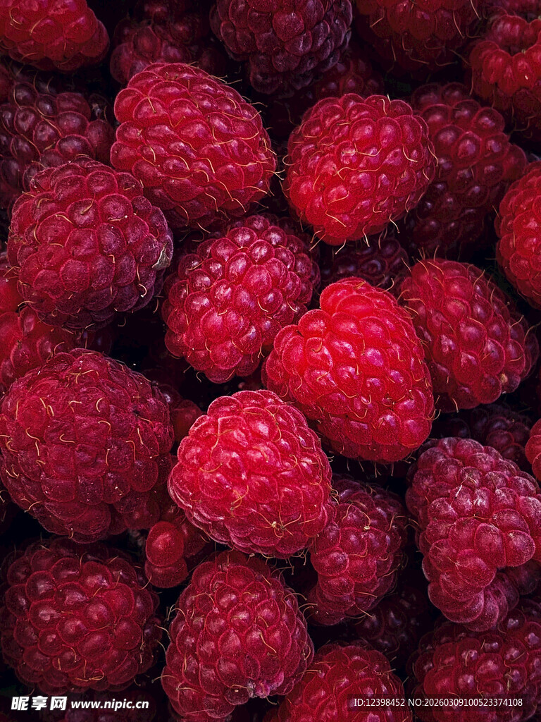 新鲜饱满的树莓果实