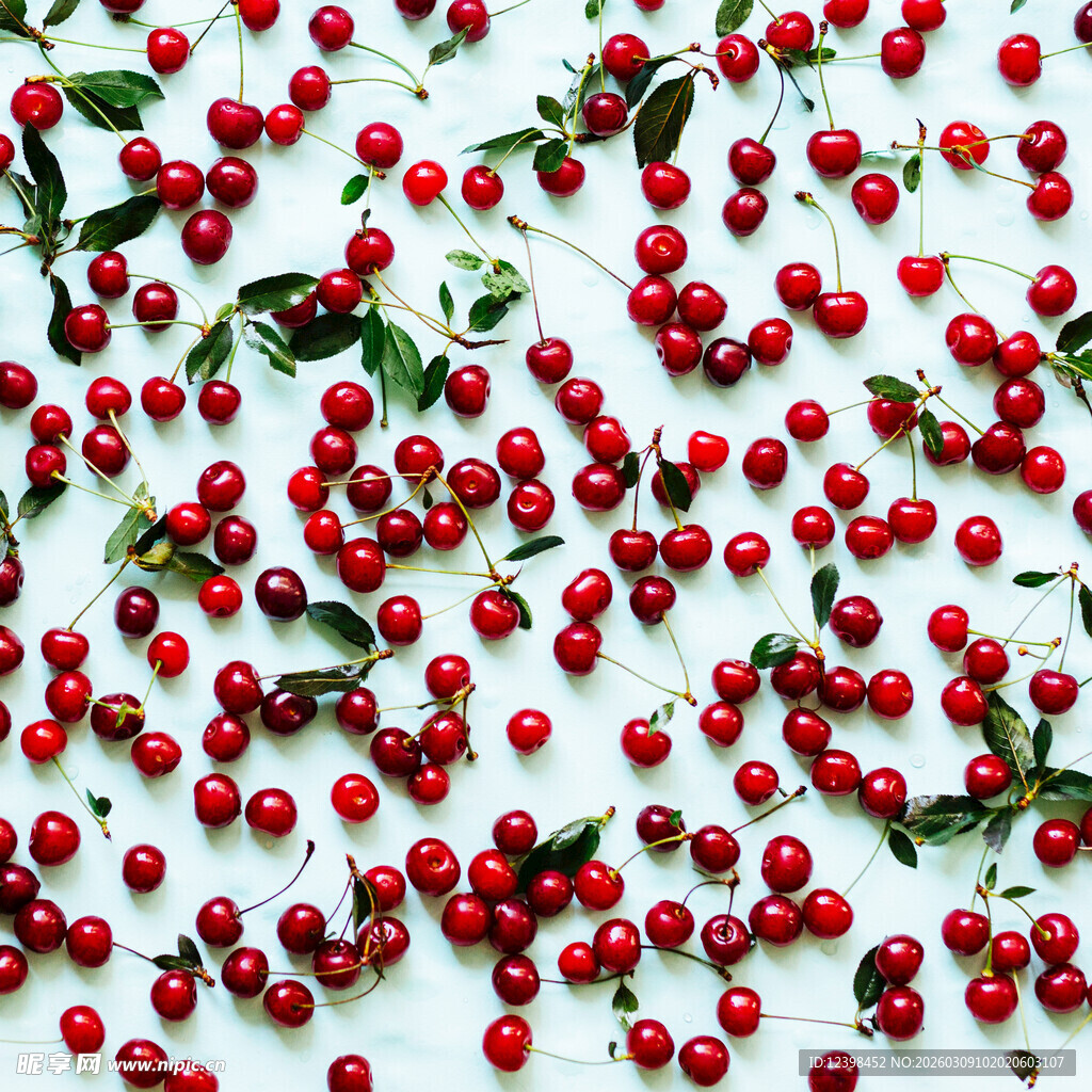 散落的红色浆果与绿叶