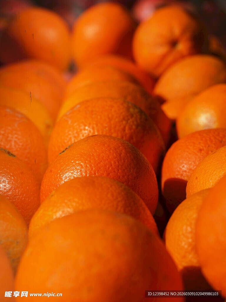 柑橘