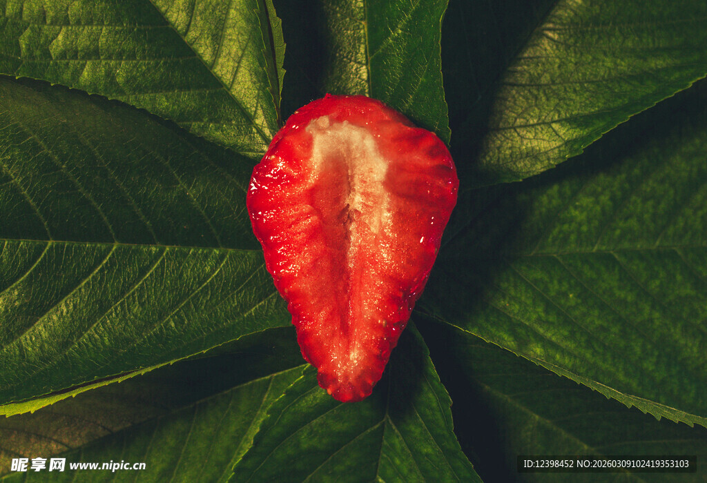 绿叶簇拥下的鲜红草莓